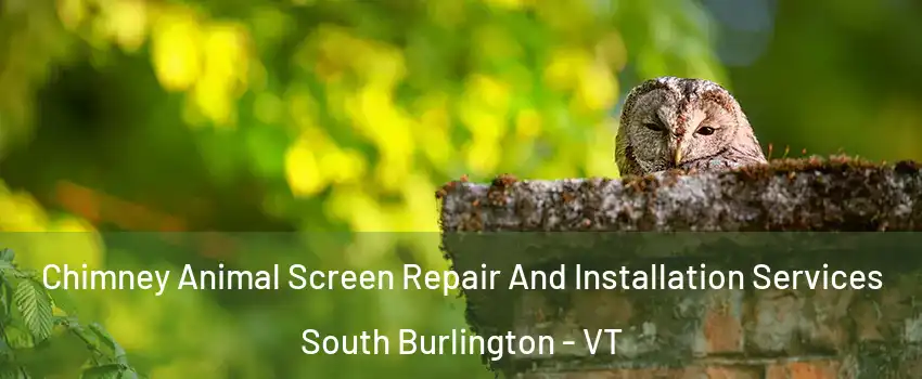  Chimney Animal Screen Repair And Installation Services South Burlington - VT