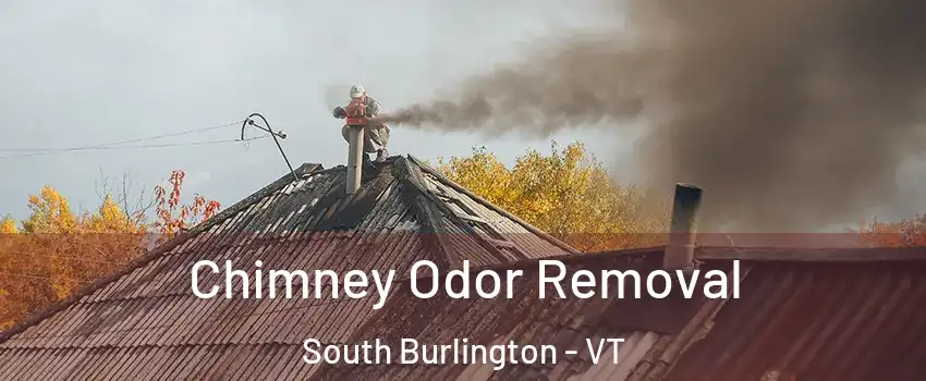  Chimney Odor Removal South Burlington - VT