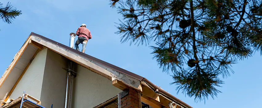 Birds Removal Contractors from Chimney in South Burlington, VT