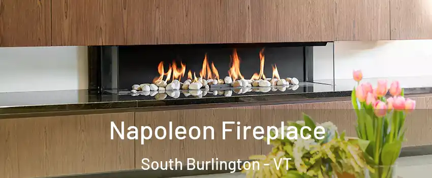  Napoleon Fireplace South Burlington - VT